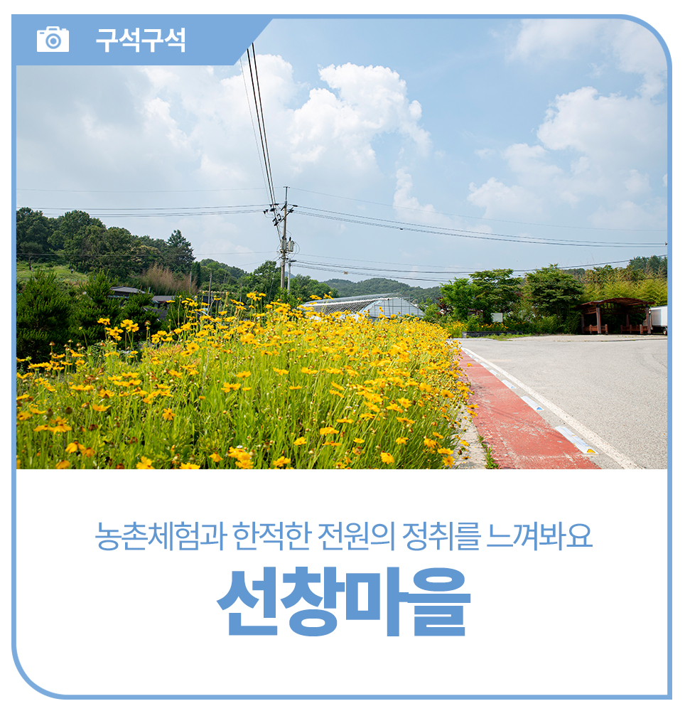 선창농촌체험휴양마을 이미지