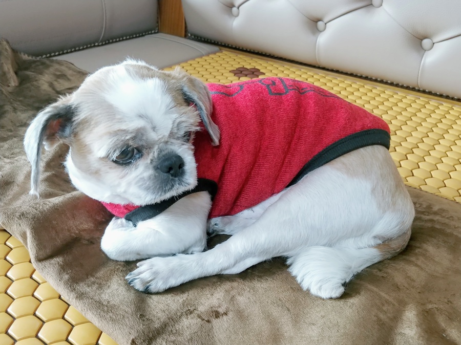 3H전주효자센타 이미지