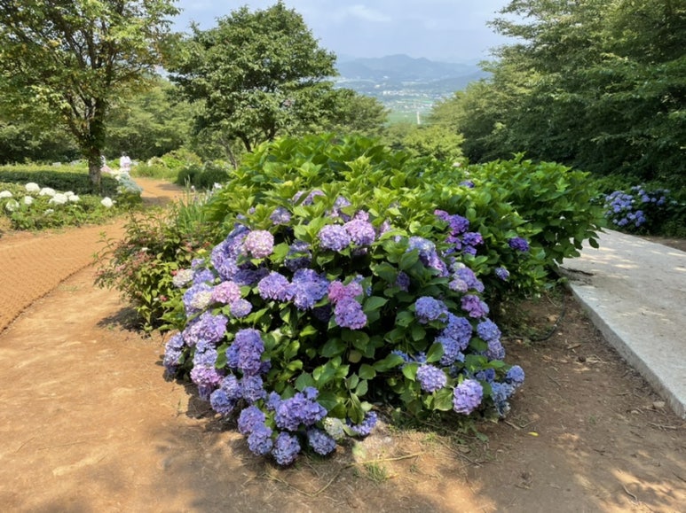 사천만회 이미지