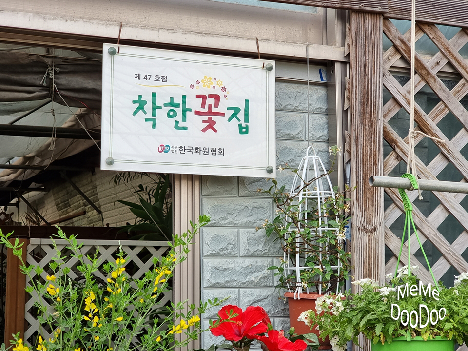 푸른나라꽃나라 이미지