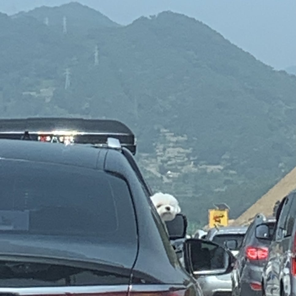라빈마켓 이미지