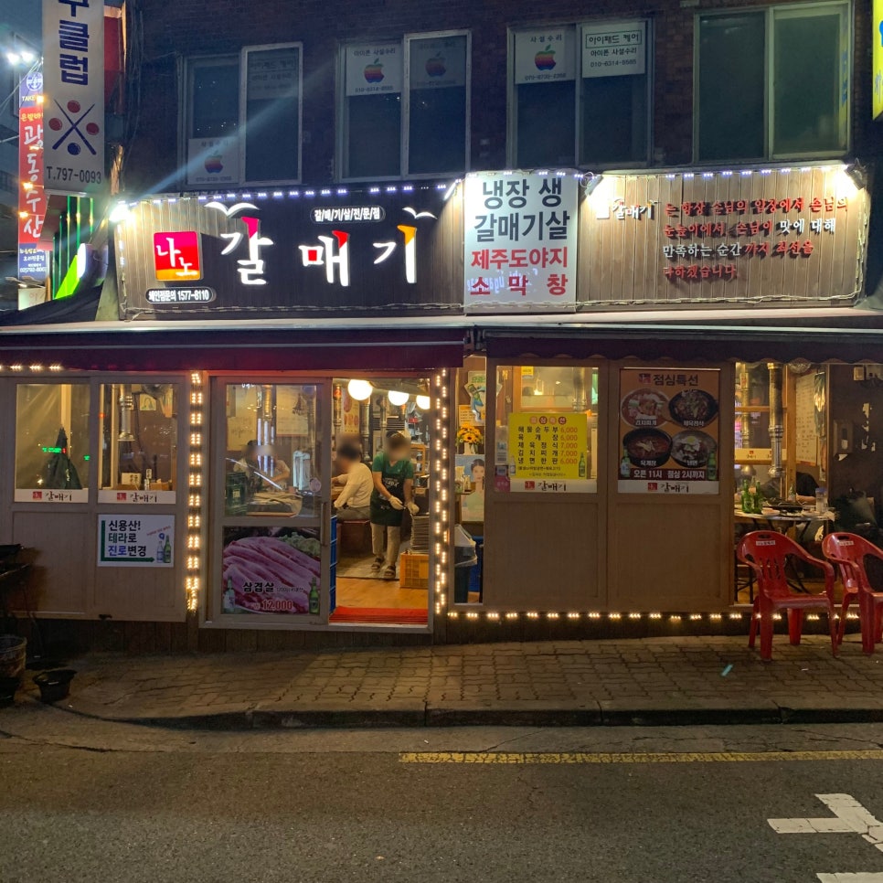나노갈매기 이미지