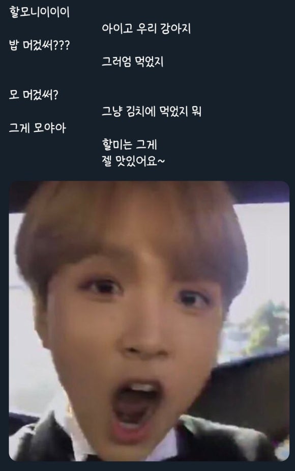 치즈폴댄스 이미지