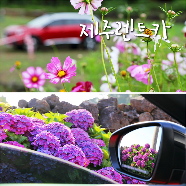 일박이일렌트카주 이미지