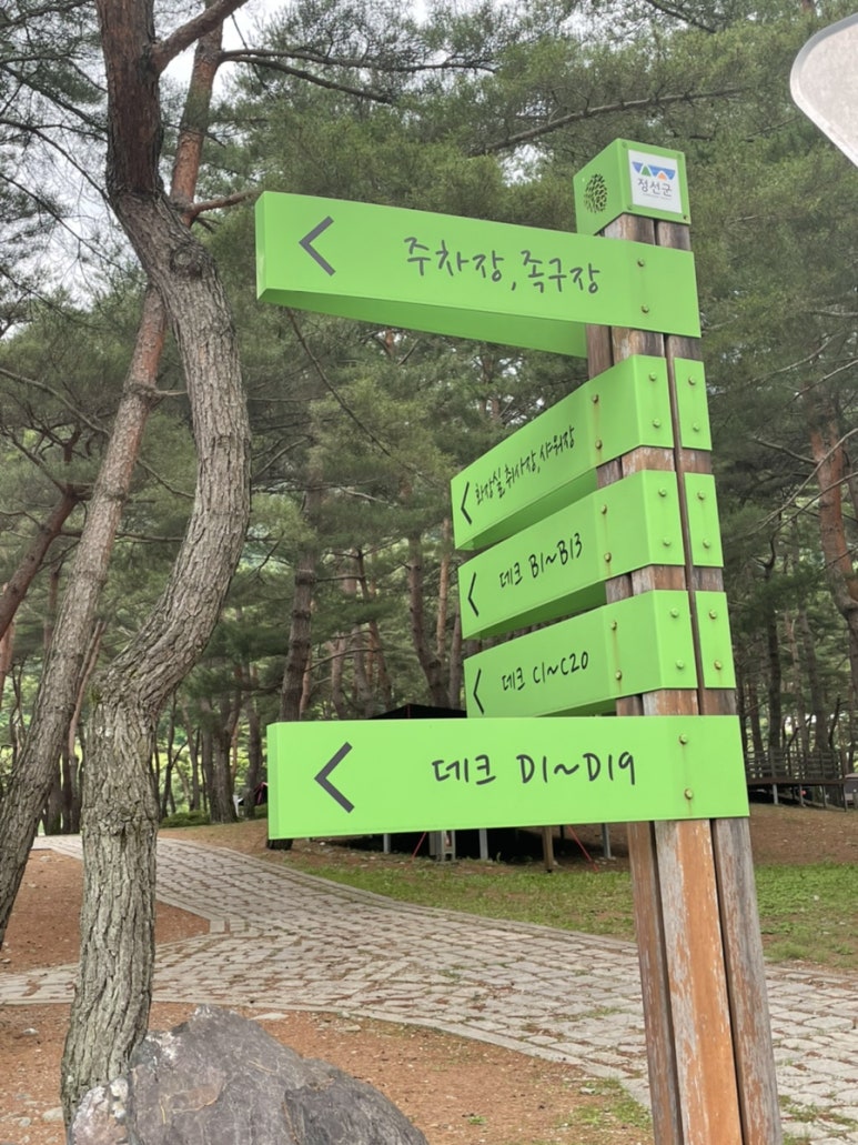 회동솔향캠핑장 이미지