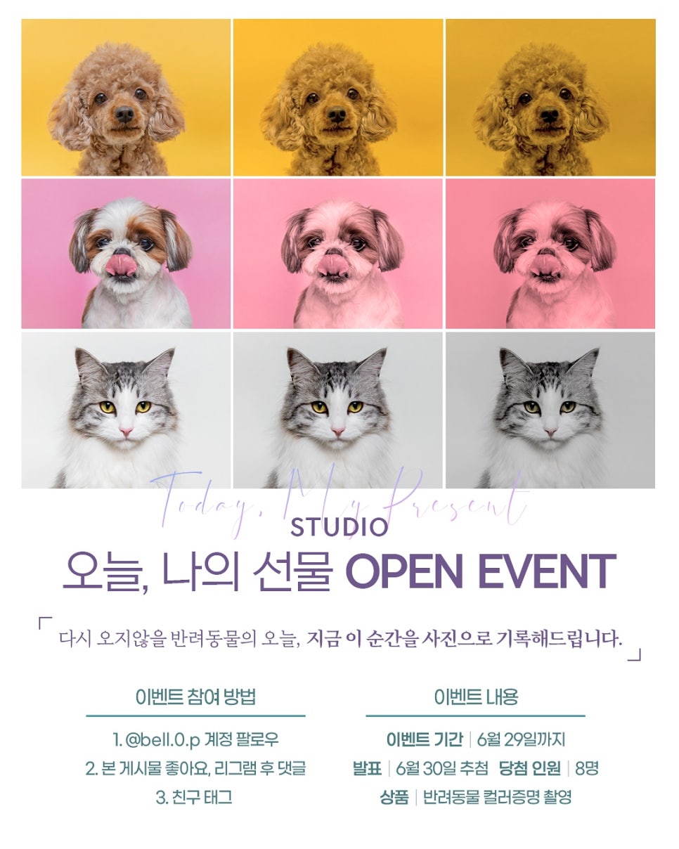 꽃;부춘여사 이미지