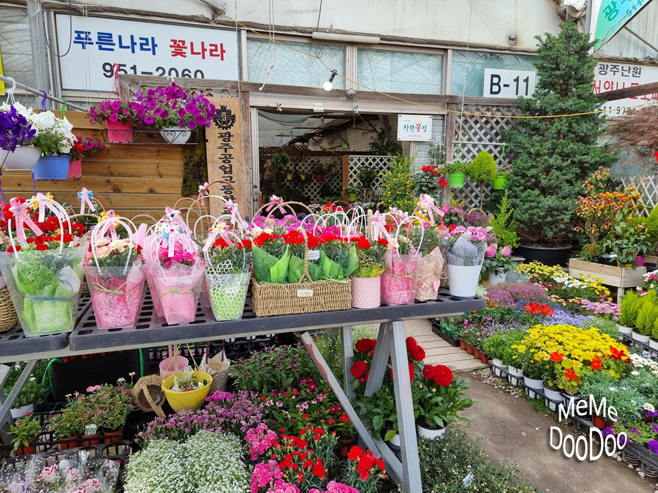 푸른나라꽃나라 이미지