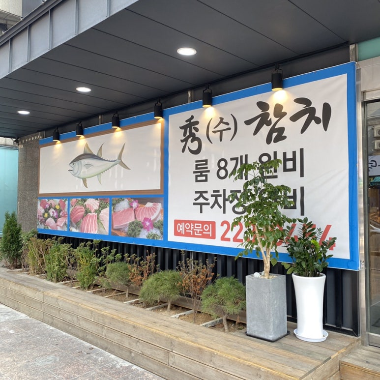 수참치 이미지