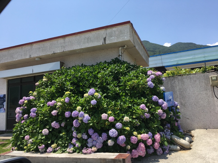 거제오션뷰카트장 이미지