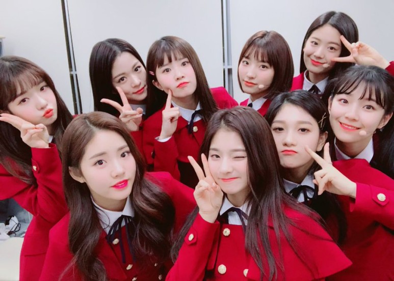 나인컨셉 이미지