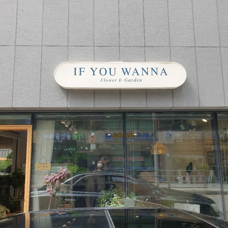 이프유워너플라워 이미지