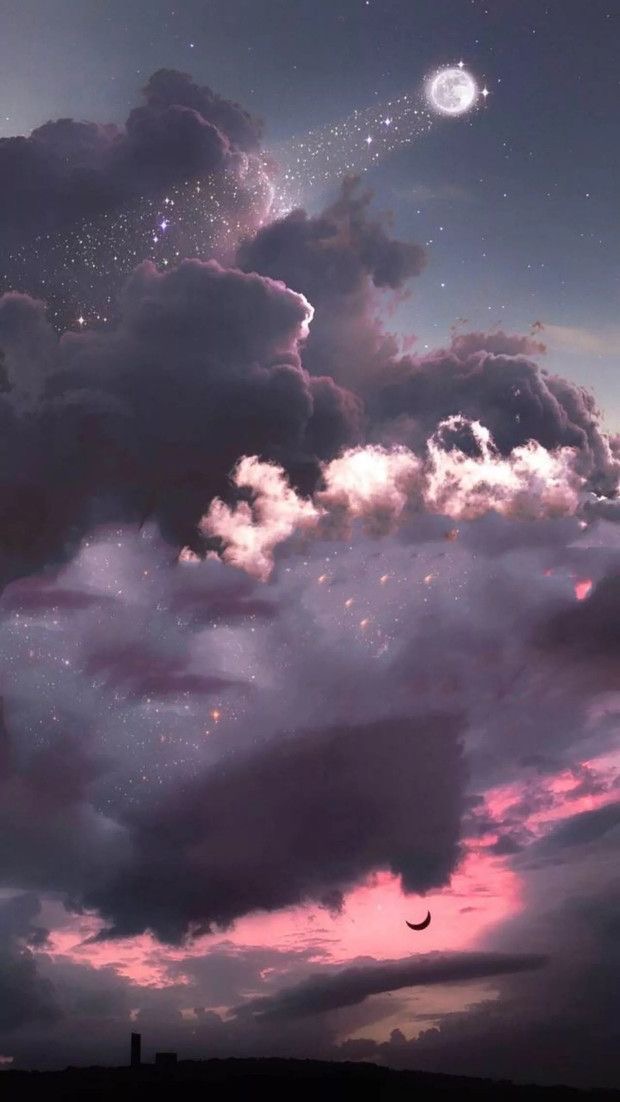 달;보라 이미지