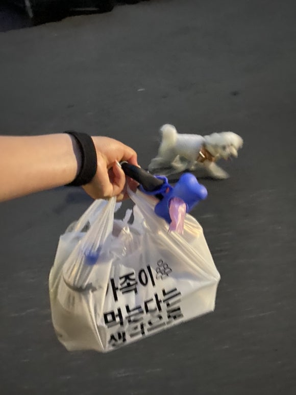 투접시족발 이미지