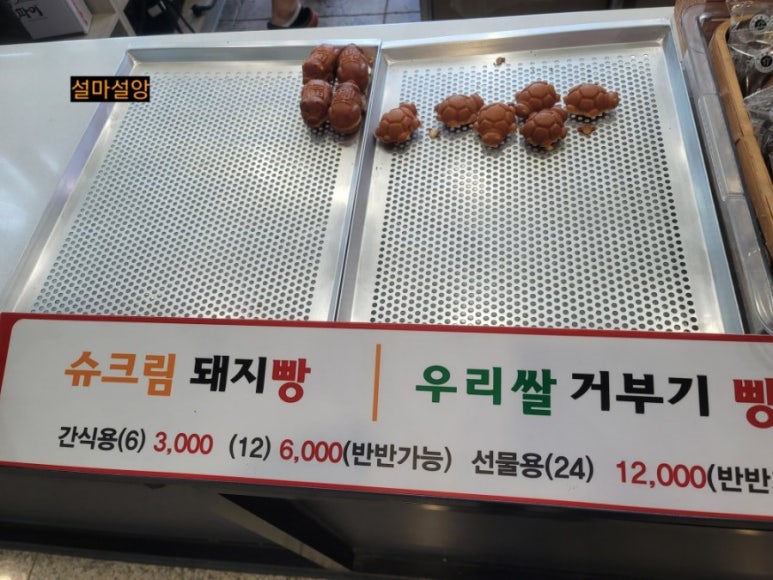 거부기전자 이미지