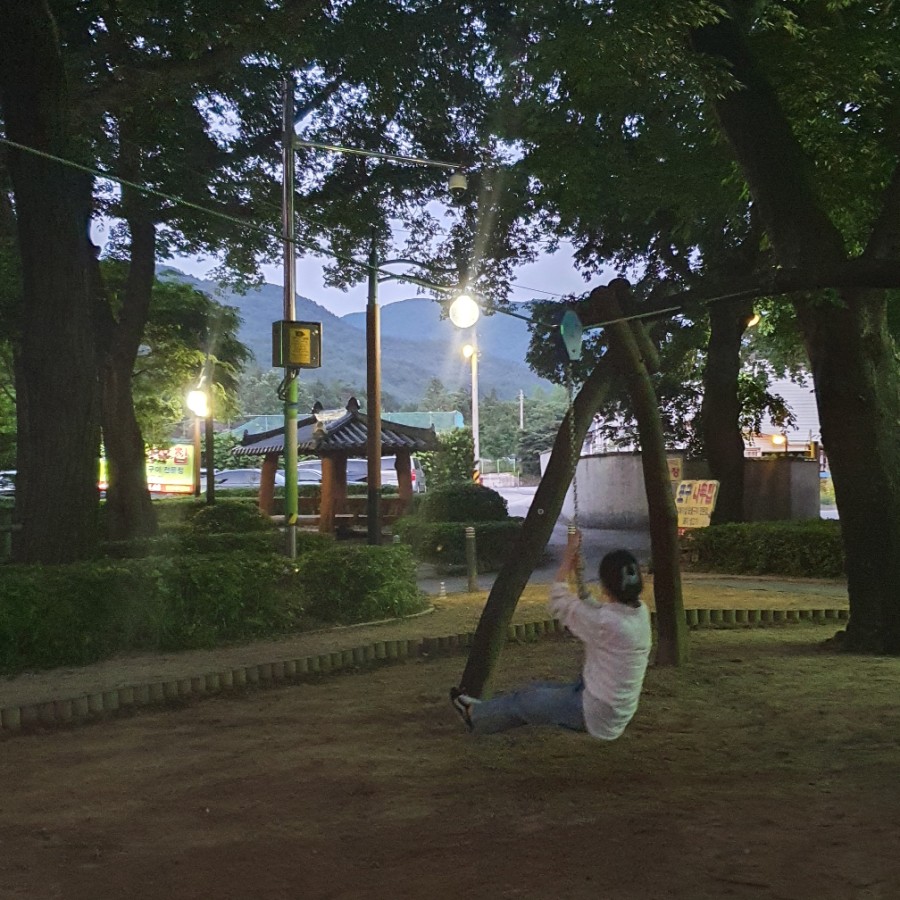 포구나무집 이미지