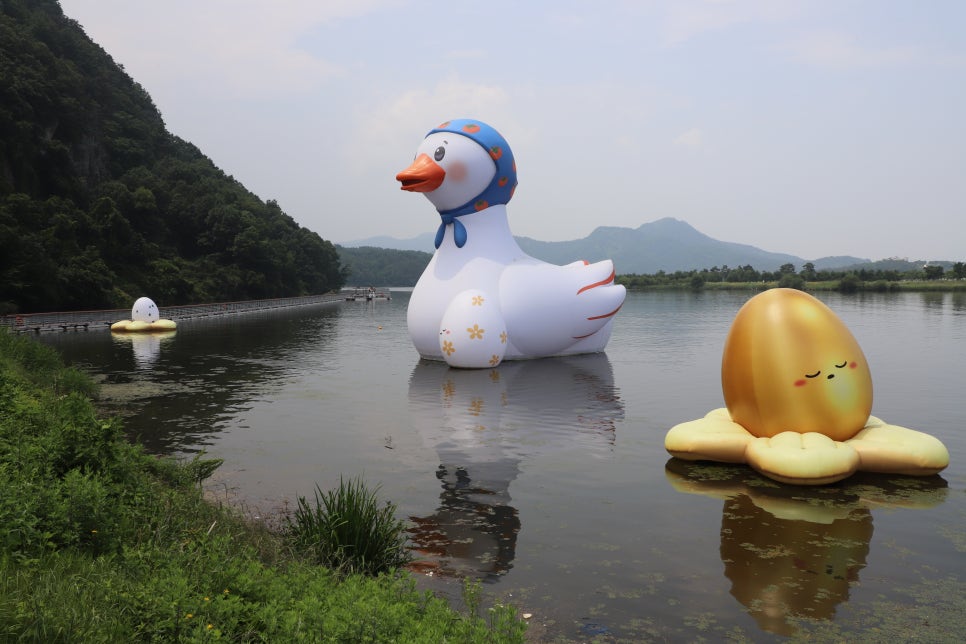 낙동강오리 이미지
