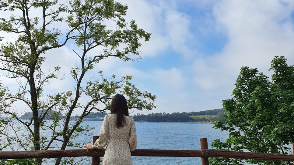 세네일 이미지