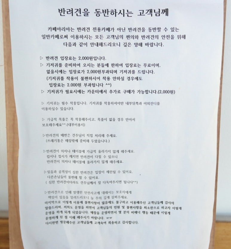 카페아리아 이미지