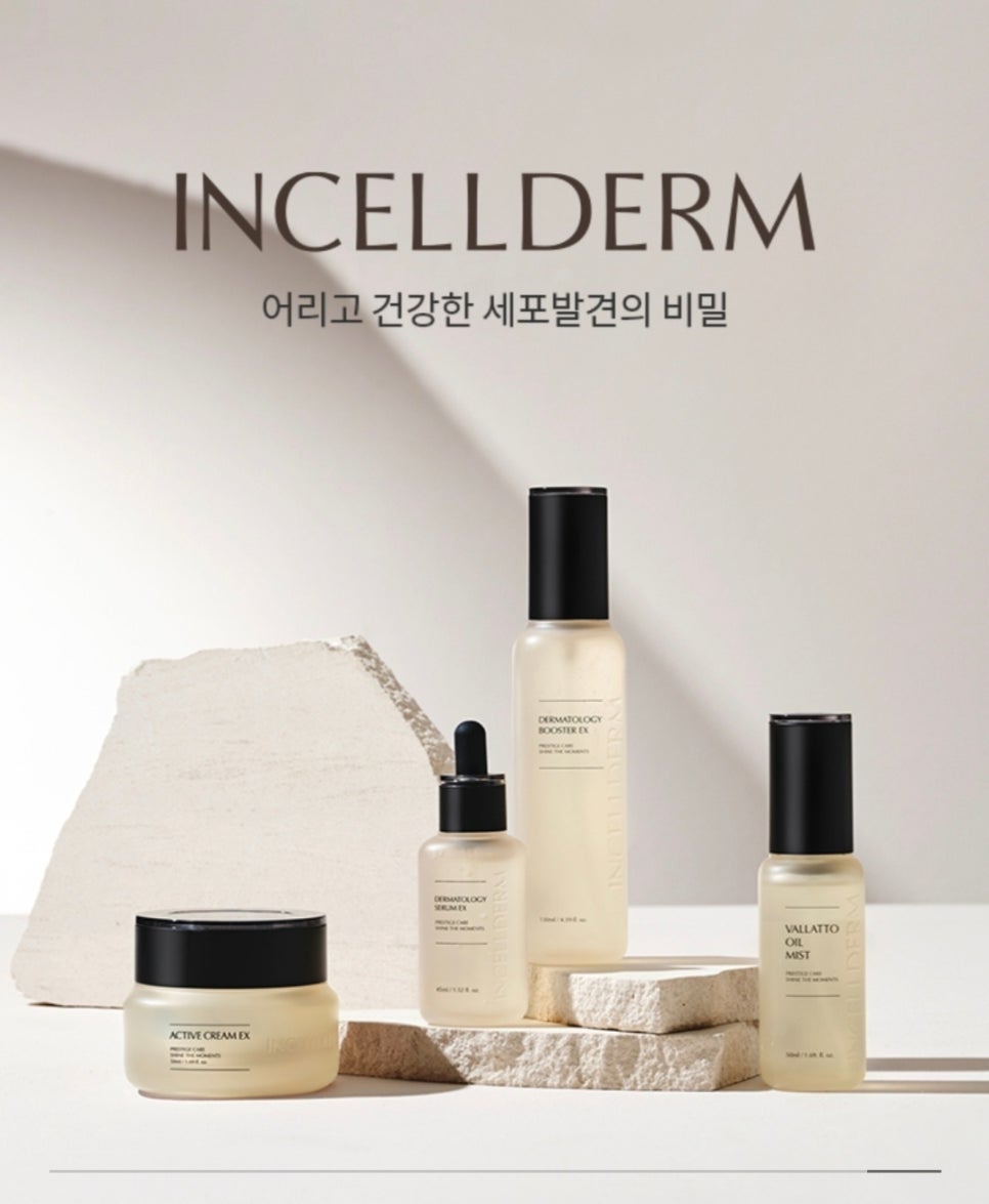 인셀덤 대구 이미지