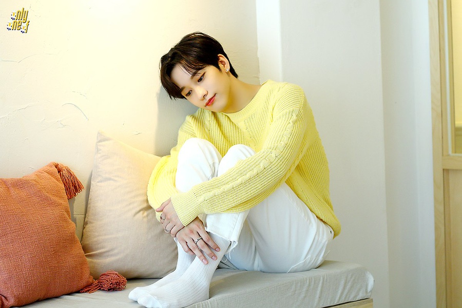 데이지(daisy) 이미지