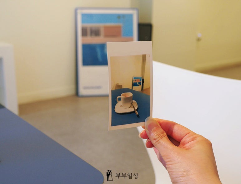 메종그리즈 이미지