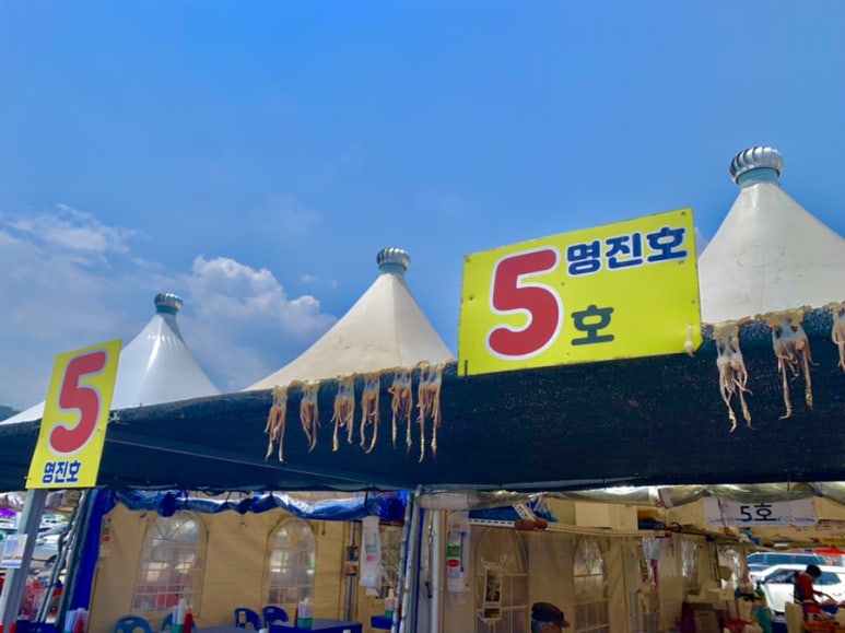 5호명진호 이미지
