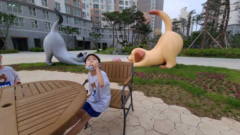 진원CCTV 이미지
