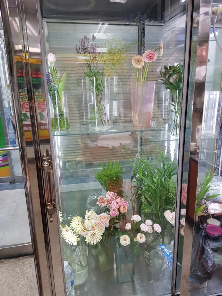 리빙시스 이미지
