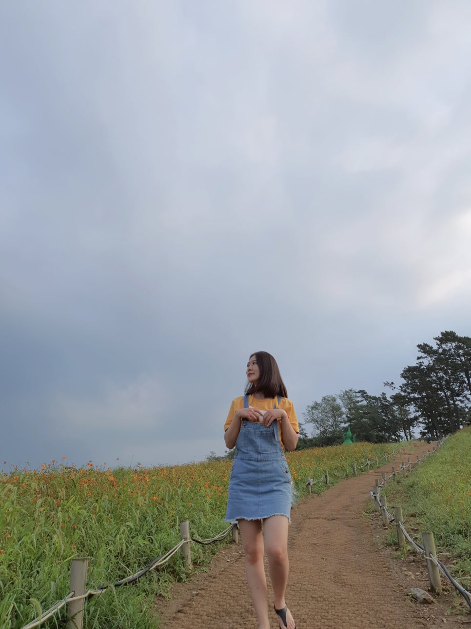 세네일 이미지