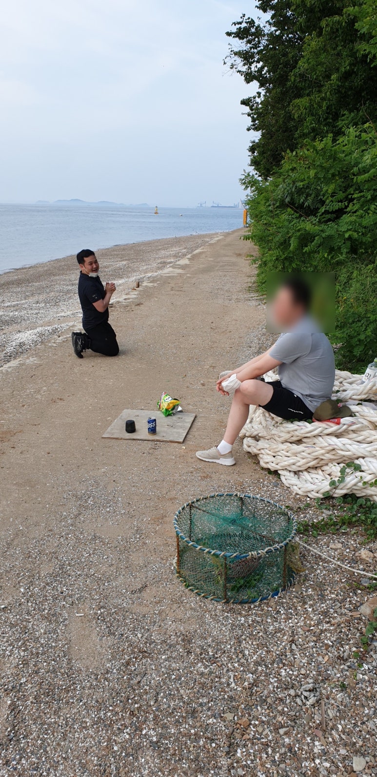 바위솔타운 이미지