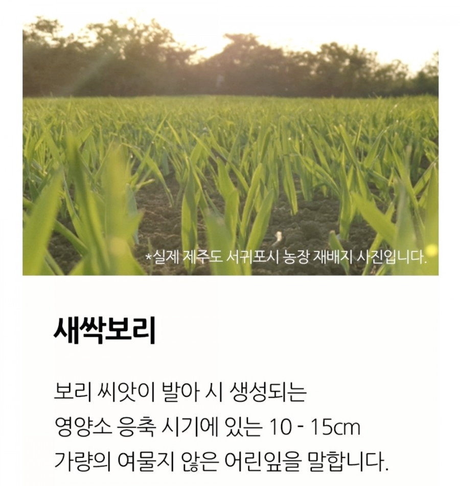 차담온 이미지