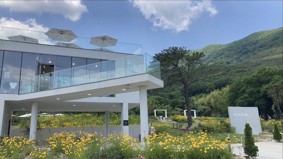 카페;수피아 이미지