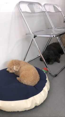 평리상회 이미지
