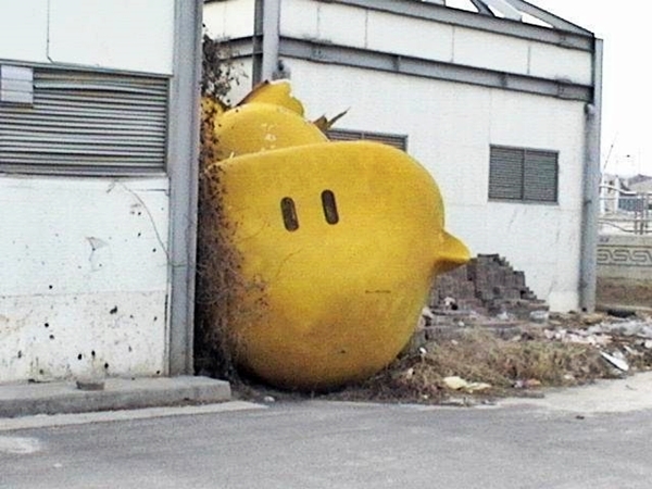 더오브젝트 이미지