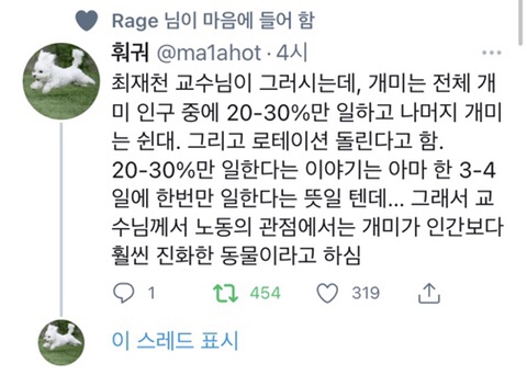 부지런한개미 이미지
