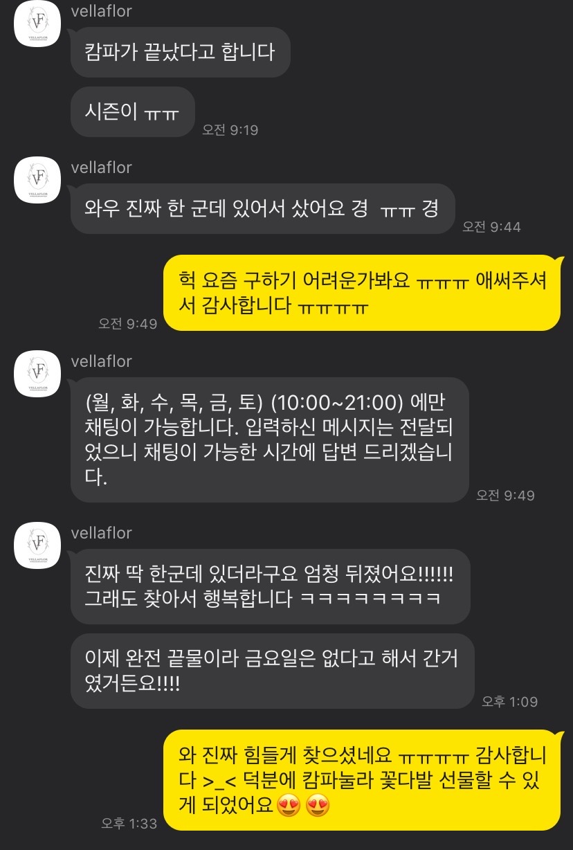 벨라플로르 이미지