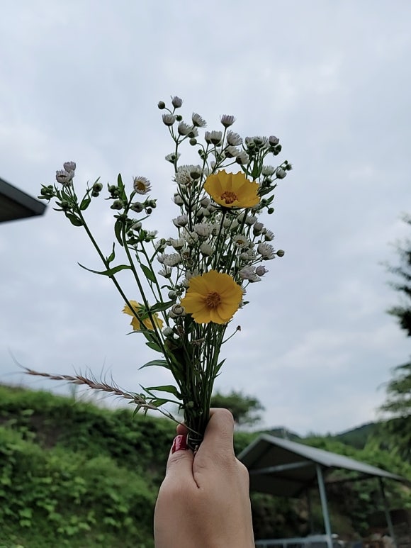 (주)아주농장 이미지