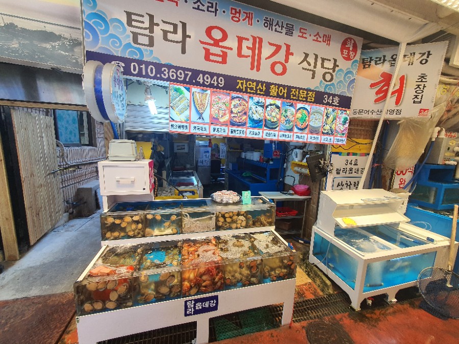 탐라옵데강 이미지