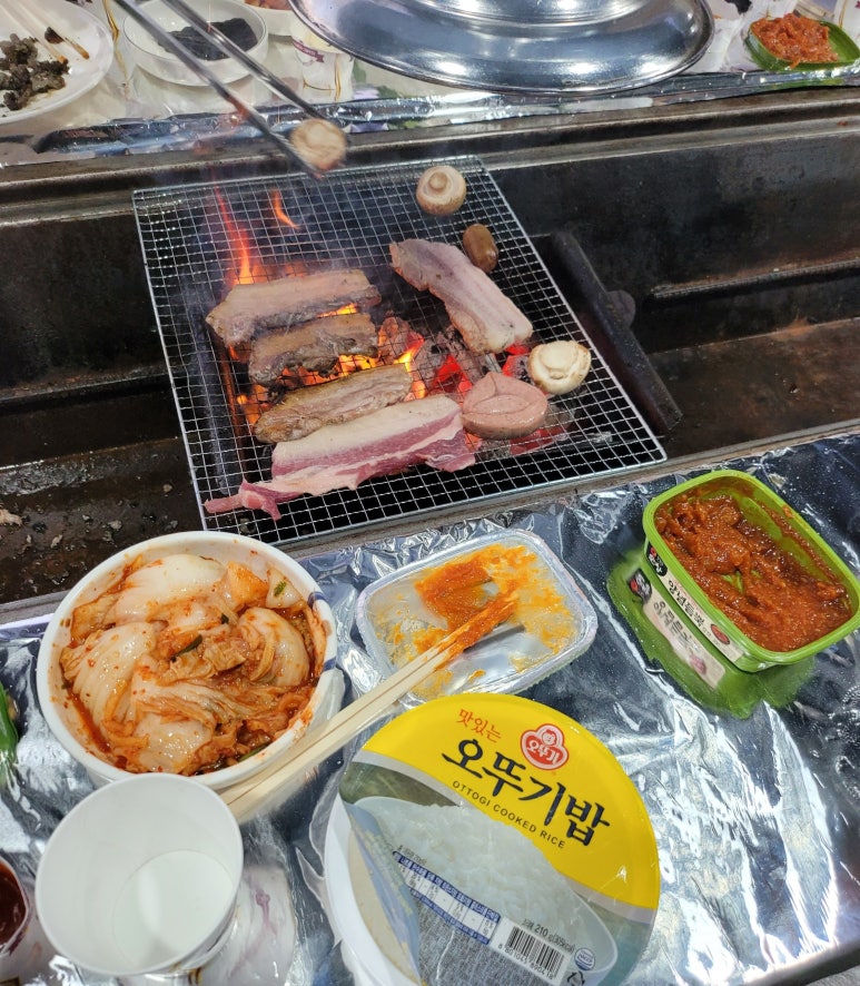 바위솔타운 이미지
