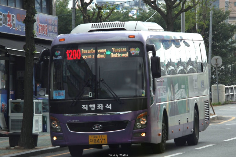 대동2터널(양산) 이미지