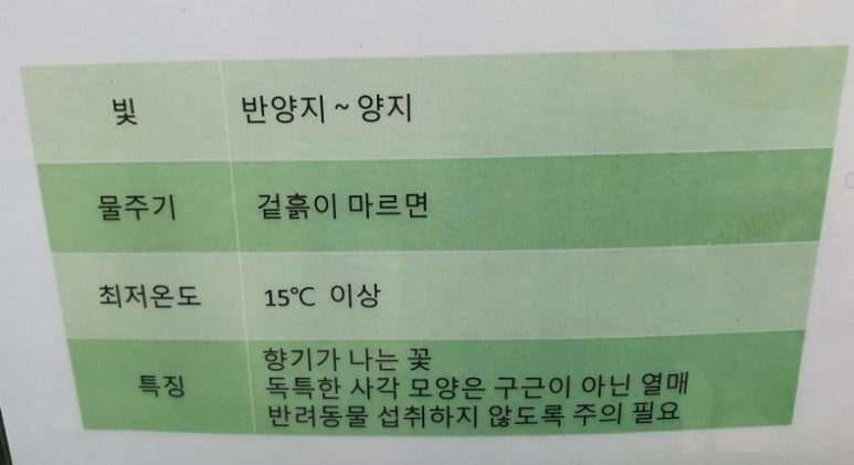 일산플라워화분마트 이미지