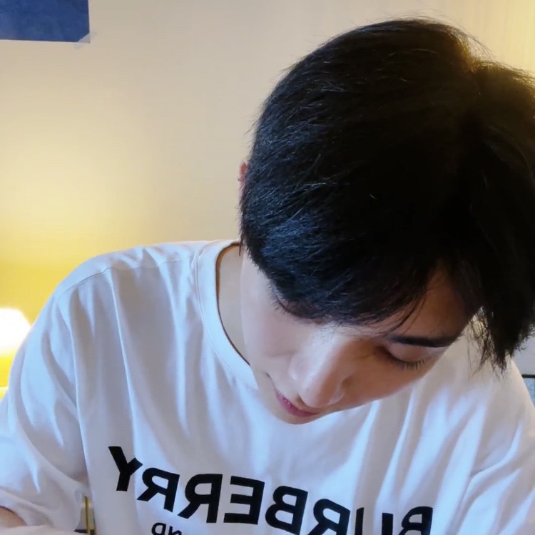 슈비즈 이미지