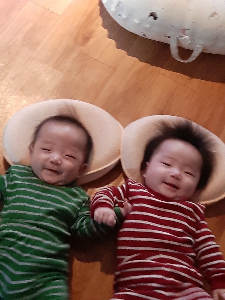 함미하삐 이미지