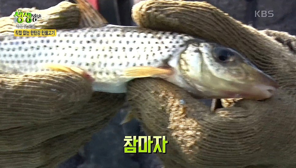 샘물분식 이미지