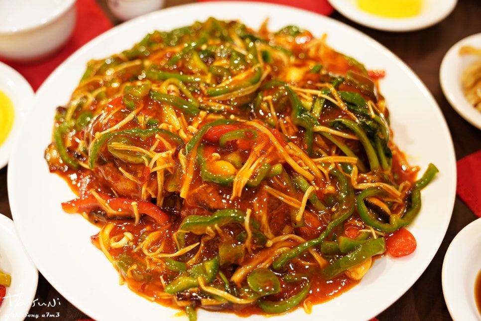 리차이 이미지