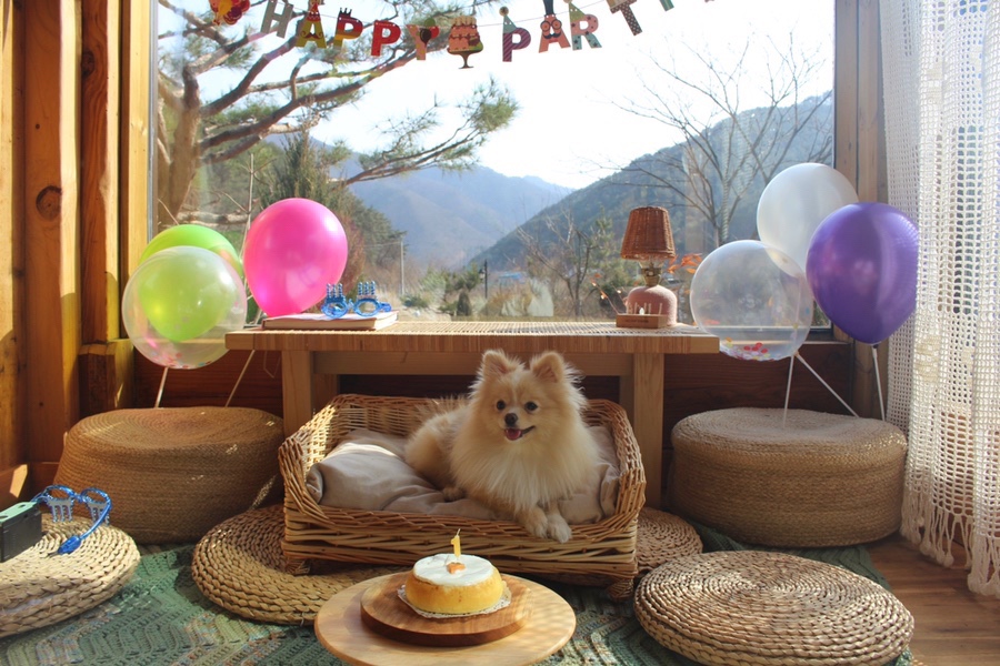 메종카누네 이미지