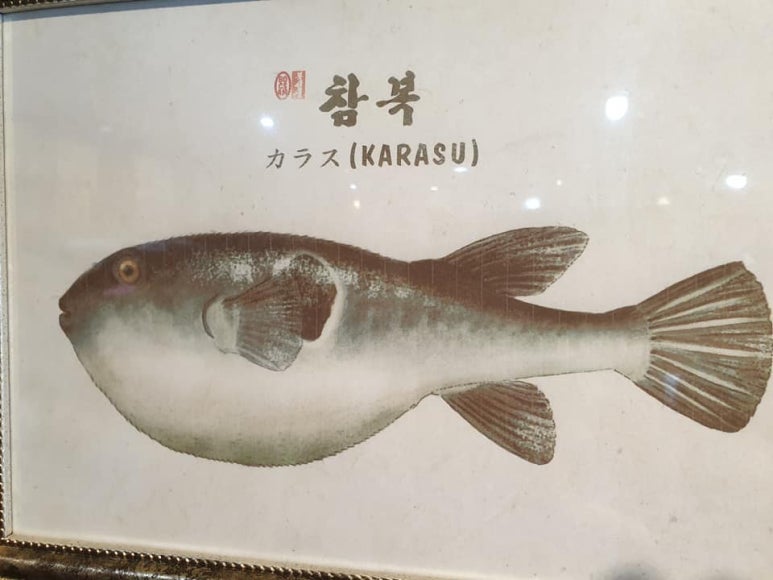 굴러들어온 복집 이미지
