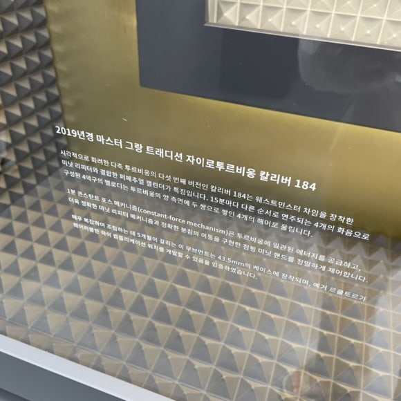 투루비옹 이미지