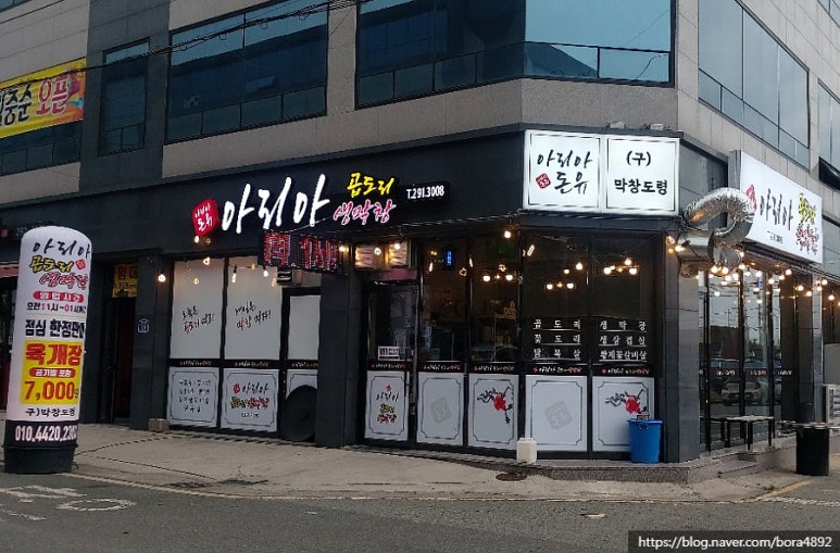 아리아돈유 이미지