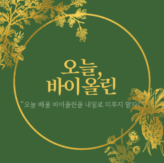 오늘바이올린 이미지